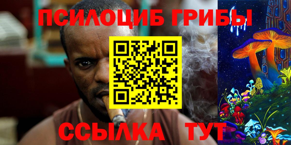 Псилоцибиновые грибы мицелий  Вход с VPN  Выкса 