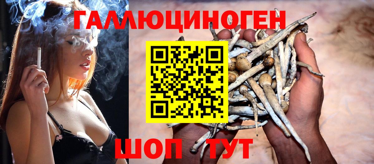 Галлюциногенные грибы Psilocybine cubensis Выкса